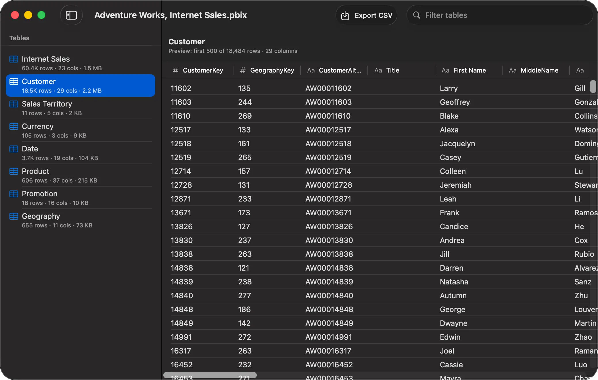 PBIXRay data workspace showing the rows of a Customer table with an Export CSV button